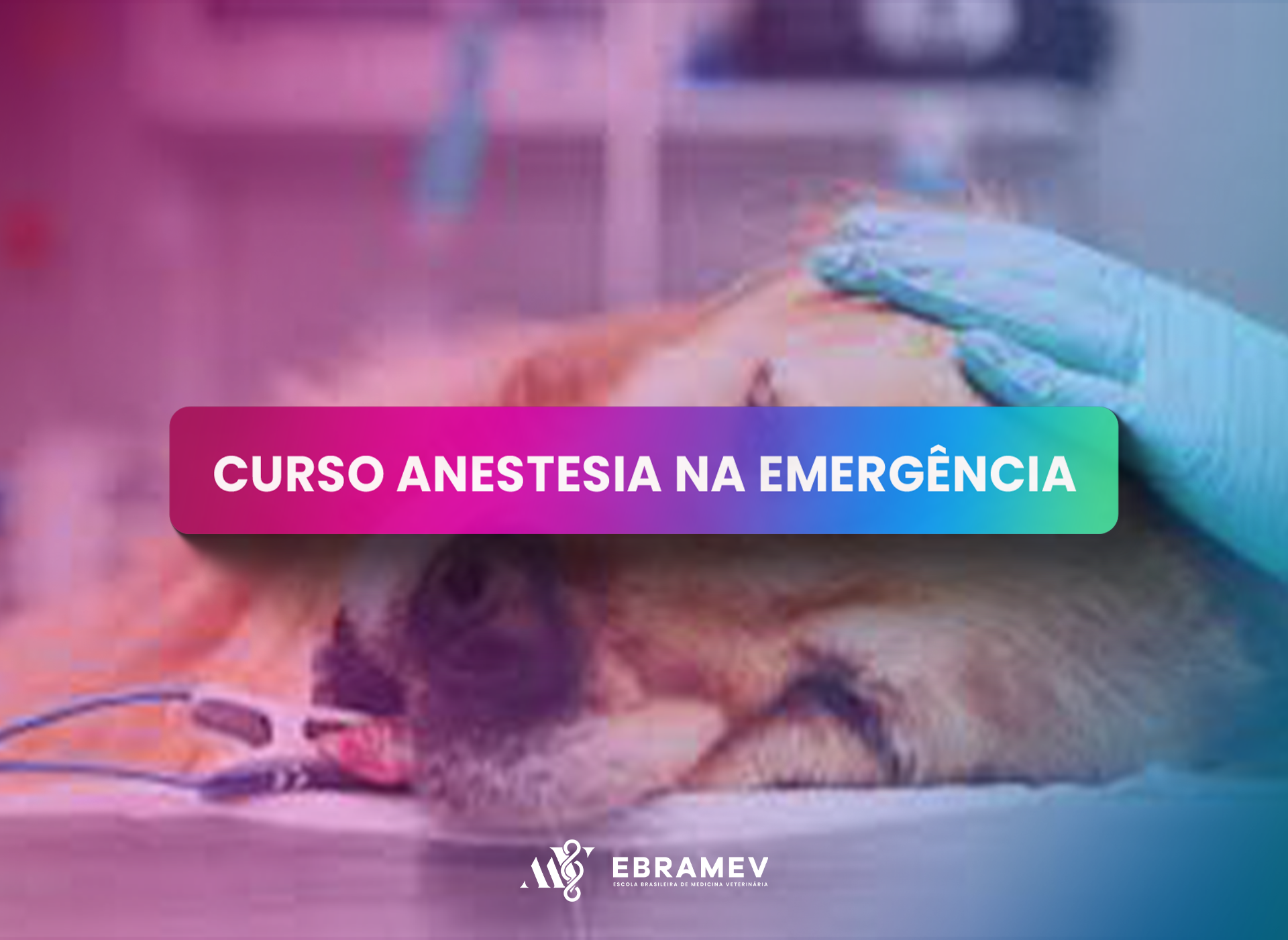ANESTESIA NA EMERGNCIA