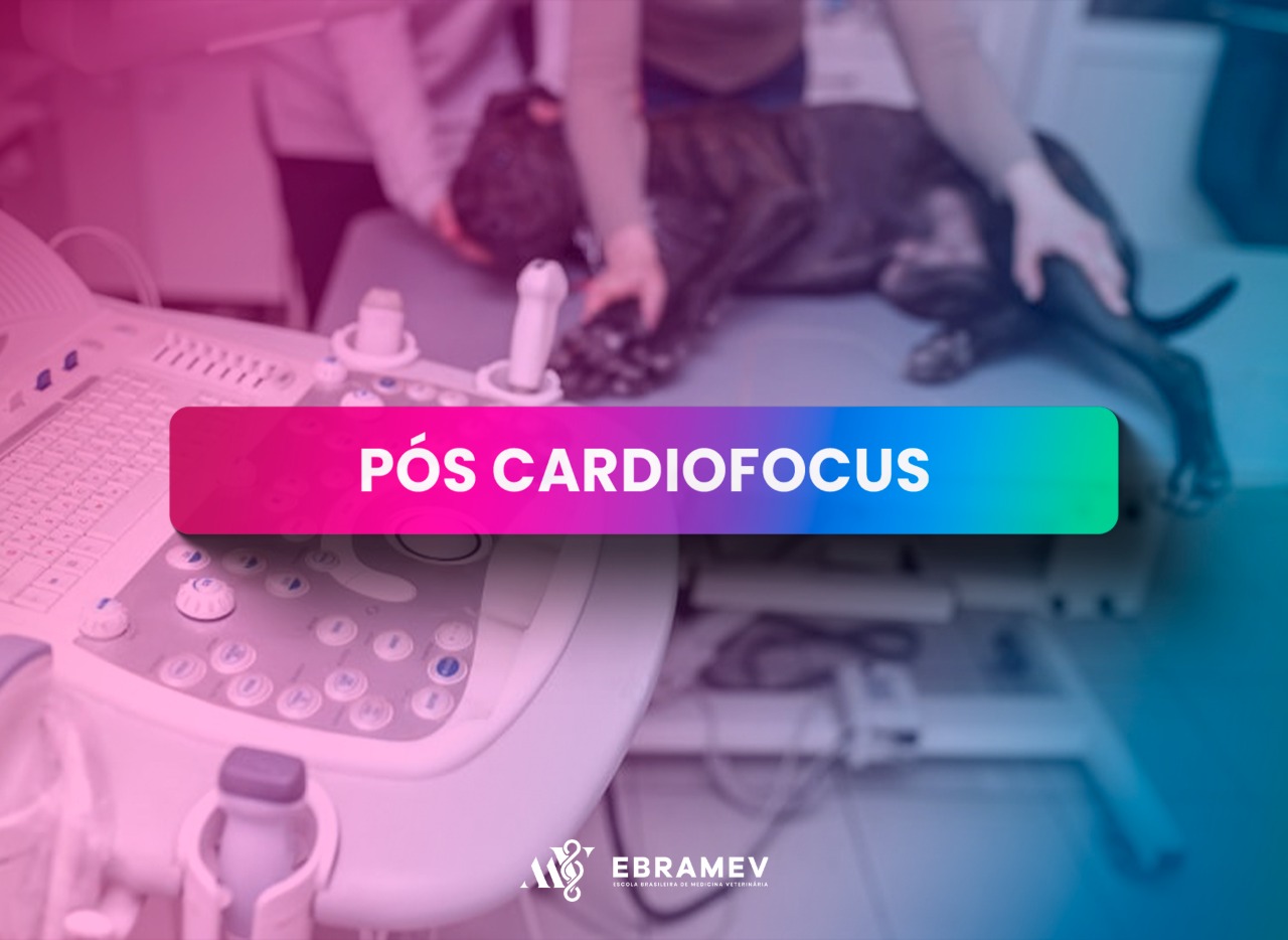 CARDIOFOCUS VET