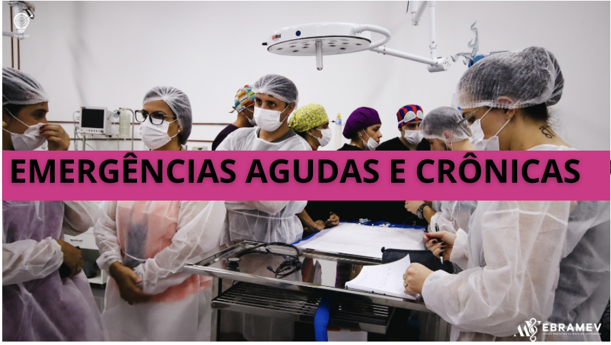 EMERGNCIAS VETERINRIAS