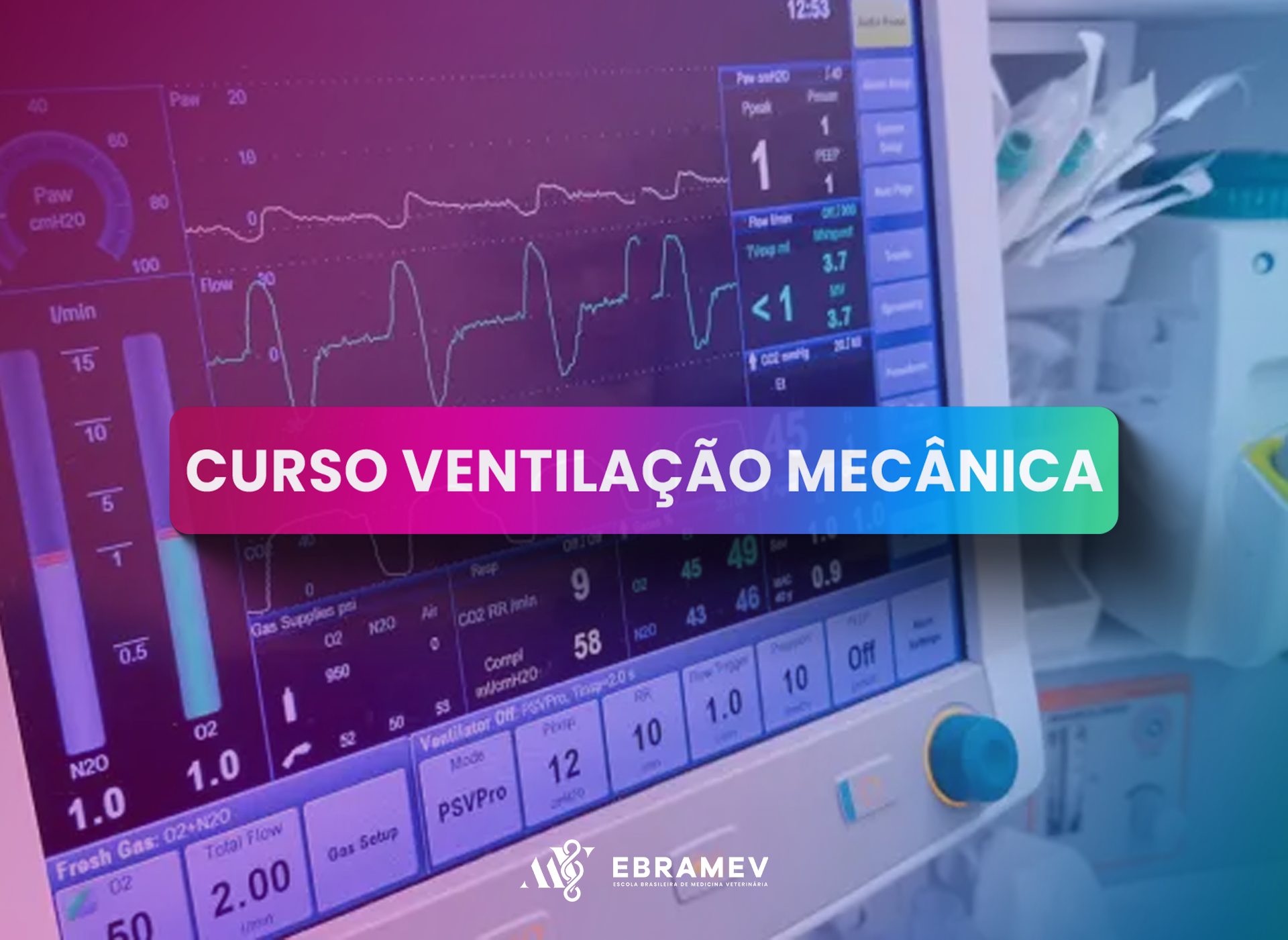 VENTILAO MECNICA VETERINRIA