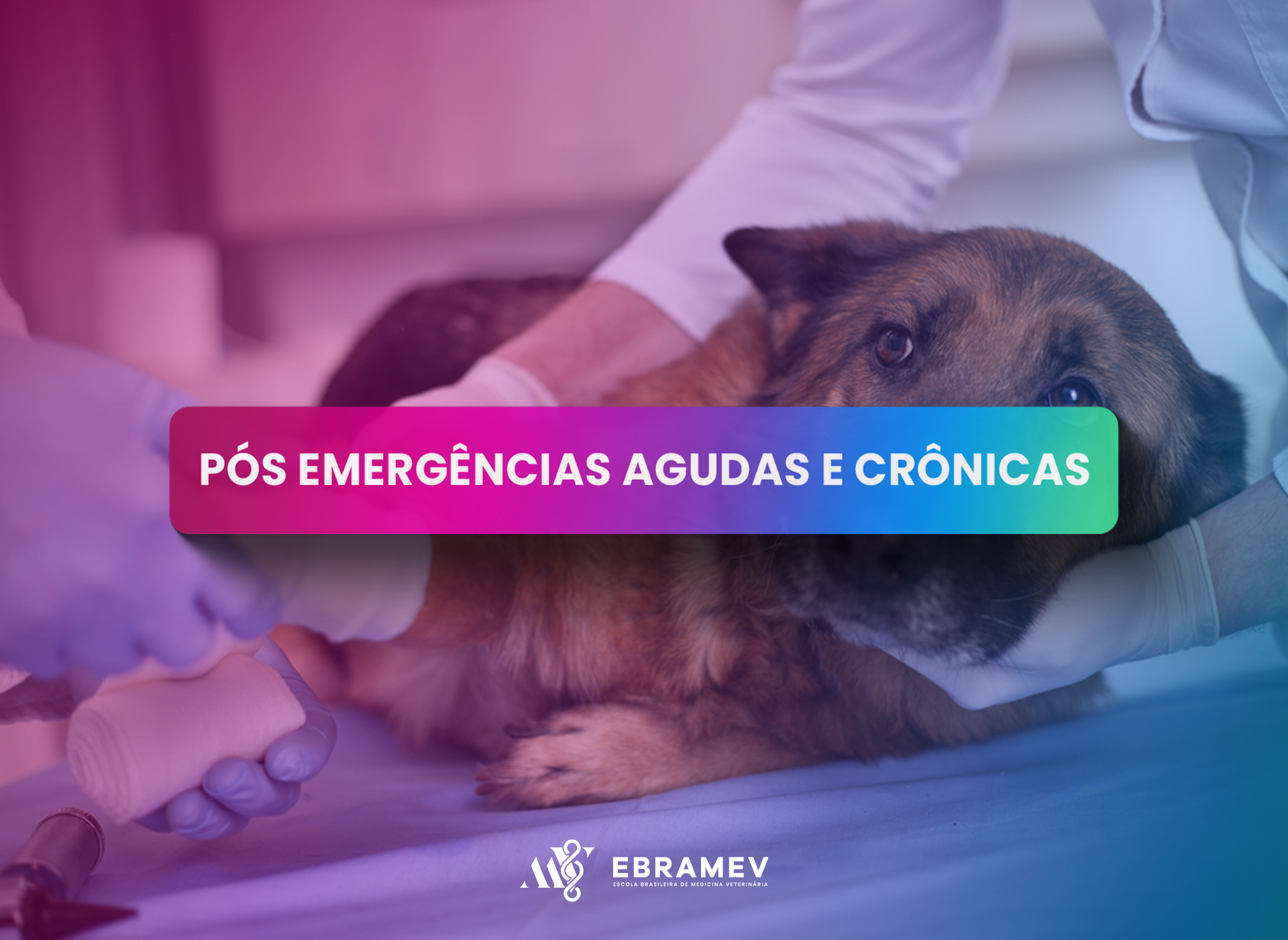 EMERGÊNCIAS VETERINÁRIAS